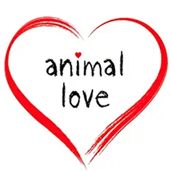 Animal Love Feline First aid Animal Love Feline First aid